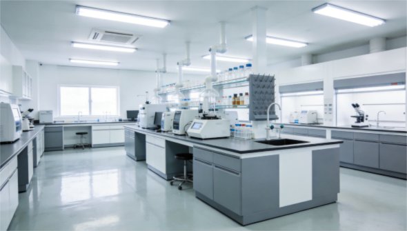 公开信息按发布时间滚动